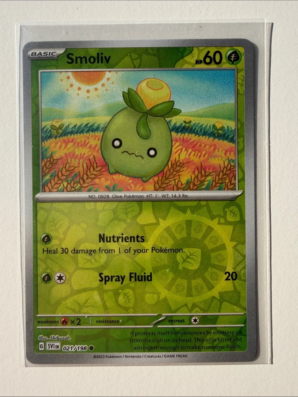 Smoliv Dolliv Arboliva Evolution Lot 3 Cards Reverse Holo | ✨5/$25✨